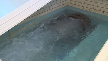 La Compagnie intercommunale liégeoise des eaux entre au Conseil mondial de l'eau