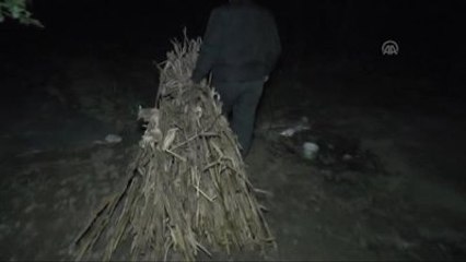 Fındık Üreticilerinin "Don" Nöbeti