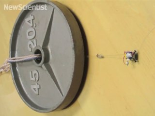 These tiny gecko-inspired robots can lift over 100x their weight