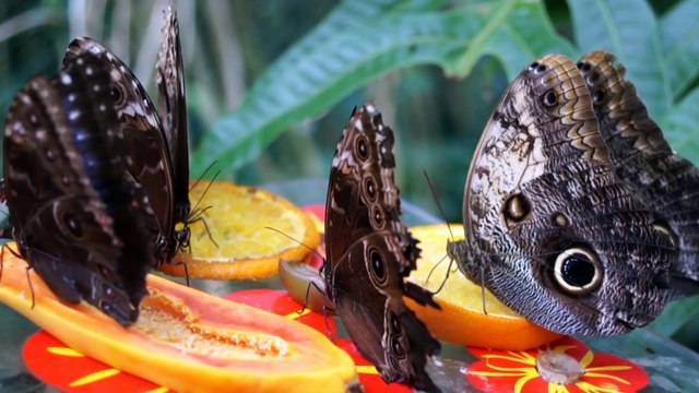 Muzyka Relaksacyjna - MUZYKOTERAPIA ANTYSTRESOWA