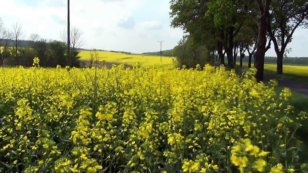 Muzyka Relaksacyjna - FORTEPIANOWY RELAKS