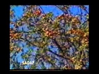 Quran Ke Tarikhi (Historical) Maqamat -Urdu PART 2