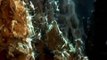 sorprendentes descubrimientos en el  fondo marino