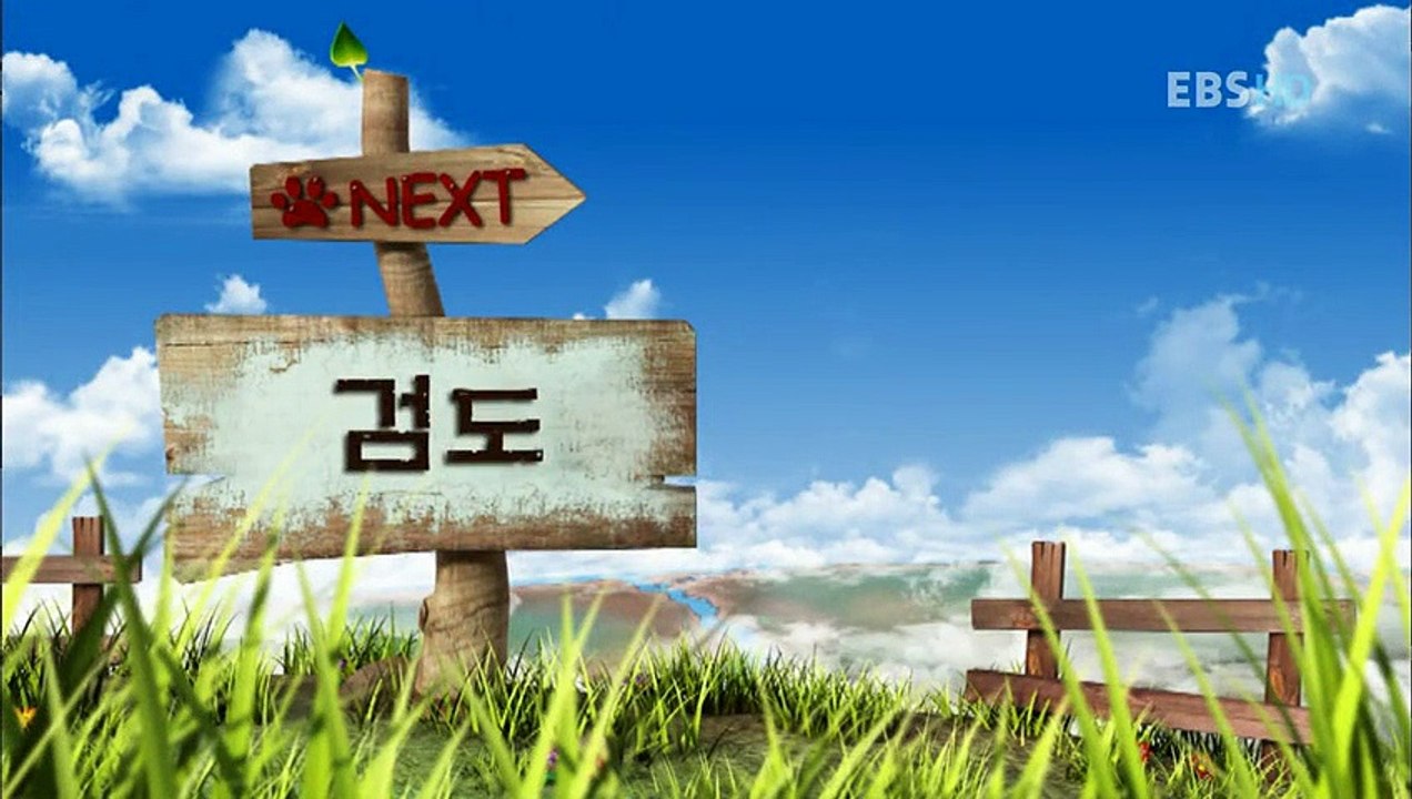 Bernard Bear - Bernard The Polar Bear - Chú Gấu Xui Xẻo - Tập 9