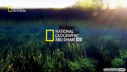 الفيلم الوثائقي ليل الأسود