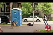 Dog Sled Toilet - Funny Video