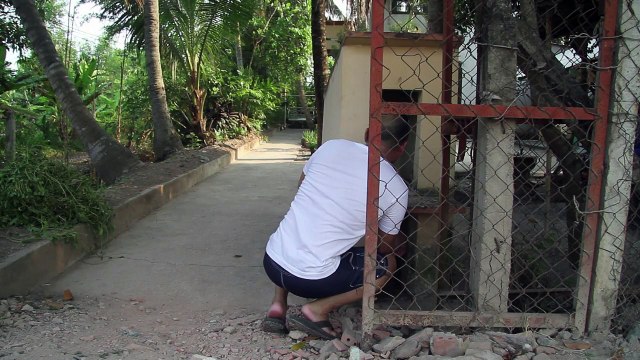 Vietnam : 40 ans après, ils sont à la recherche de ses racines