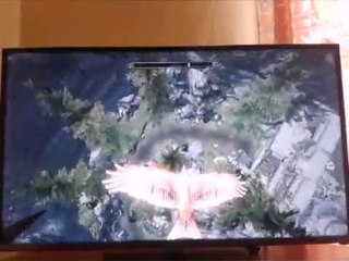 Meilleur bug de Skyrim