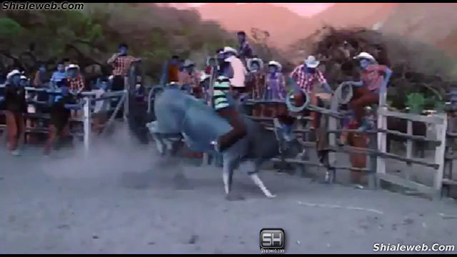 JARIPEO RANCHERO UNA BUENA MONTA EN XUCHIATIPA HIDALGO MEXICO UNO DE LOS MEJORES TOROS DE LA MEJOR GANADERIA DE HIDALGO ES MONTADO POR EL MEJOR JINETE ABRIL 2015