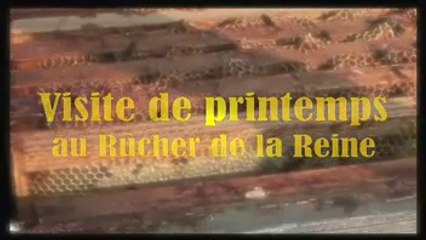 Visite de Printemps au rucher (2007)
