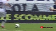 Antonio Nocerino Goal - Parma vs Palermo 1-0 (Serie A 2015)