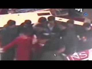 Mueren tres tiburones en la explosión de un acuario en Shangai