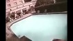CCTV Footage of Swimming Pool During Nepal Earthquake