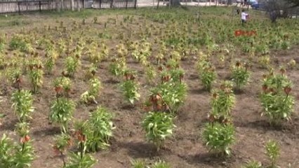 Denizli - Bakan Zeybekci'den Kılıçdaroğlu'na 'Yoksulluk' Yanıtı