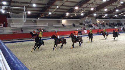 Finales régionales de horse ball