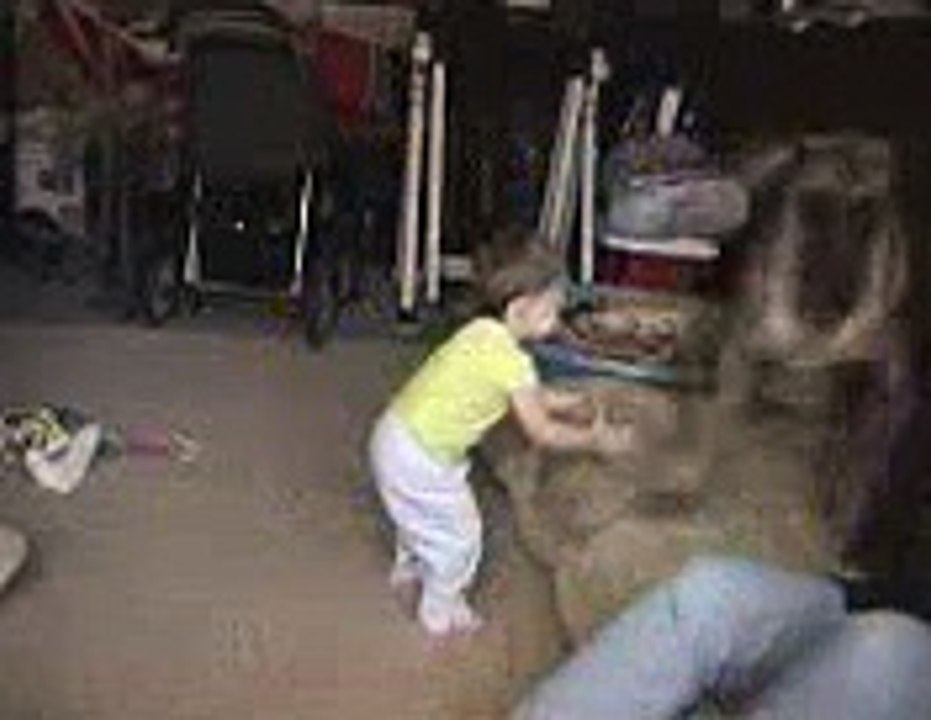 DOG & BABY FUN