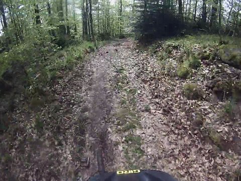 descente VTT hungerplatz barr alsace