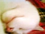 Snoring Cat. Rest In Peace my little friend .25/Au