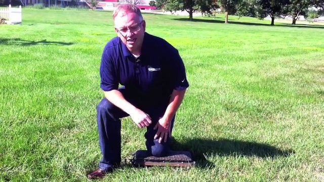 The Differences Between Tall Fescue and Crabgrass with Joe, Scotts Associate