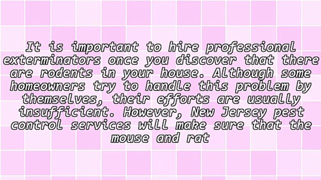 Ways To Protect Your Home From Rodents With The Help Of A New Jersey Pest Control Company