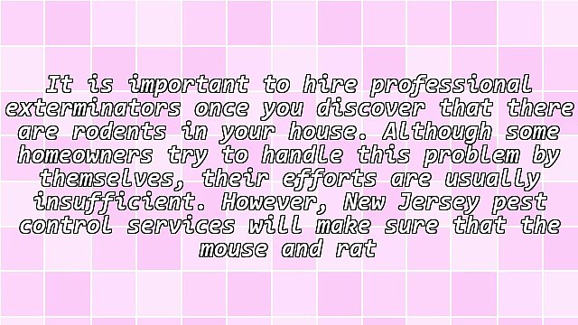 Ways To Protect Your Home From Rodents With The Help Of A New Jersey Pest Control Company