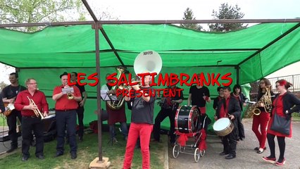 hava nagila by les saltimbranks !