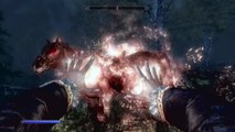 Skyrim: How to level up magic, archery, one-handed or two handed to level 100