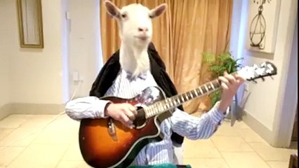 Animals New Singer - {Must Watch}