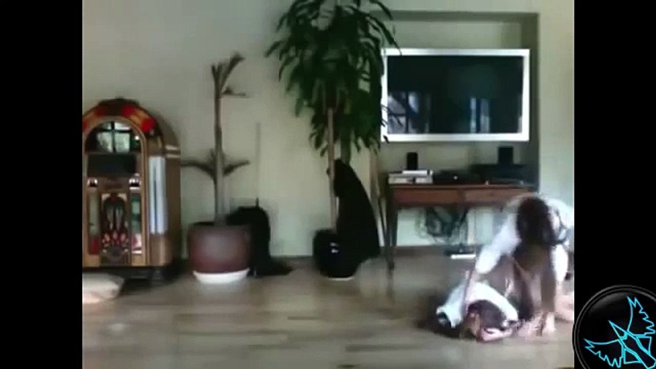 Komik Dans Kazaları Video Derlemesi