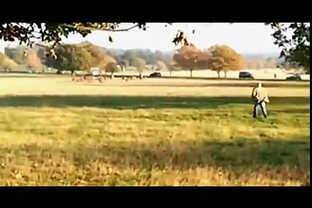 Fenton the dog chasing deer on news