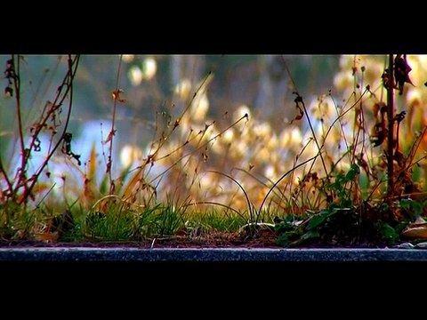 ALSANCAK YAPI PEYZAJ VE TİC. LTD. ŞTİ. TANITIM VİDEOSU