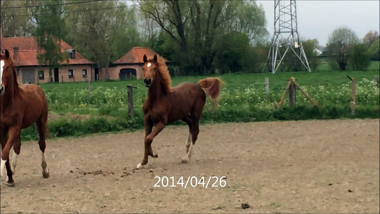 Ochino 26 avril 2014