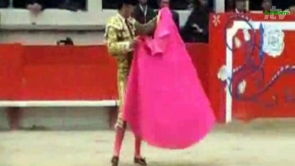 Saint Martin de Crau 26 abr 2015