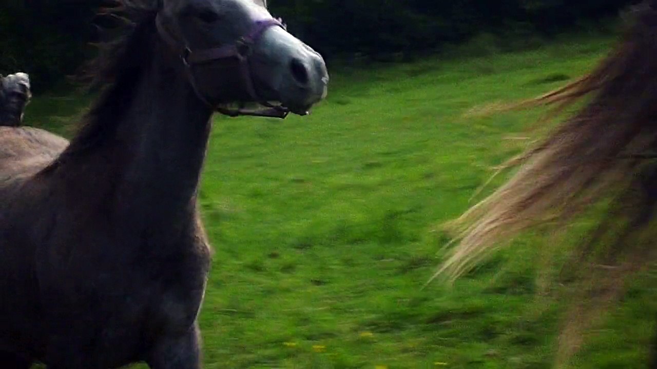 al cham, fayrouz et najmi beni sakr