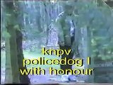 Bouvier des Flandres Peggy KNPV Policedog1 Trial