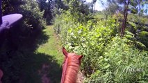 Extreme Mustang Makeover: Day 4 - Trail Ride Helmet Cam