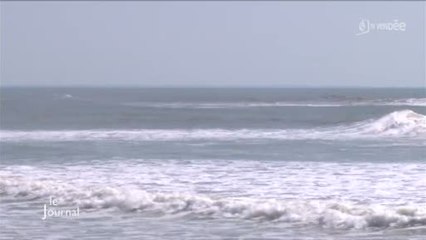 Les enjeux du nouveau parc naturel marin (Vendée)