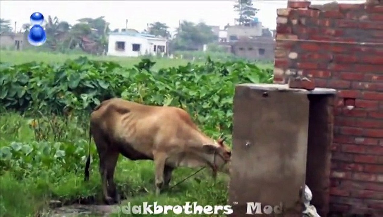 Important Indian Village Documentary