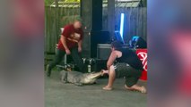 Un homme se fait mordre par un alligator