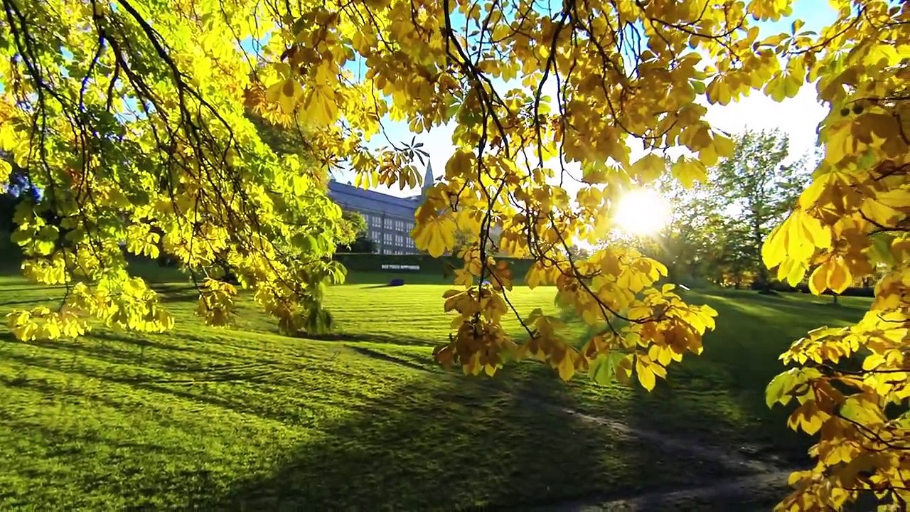 Haust @NTNU Gløshaugen