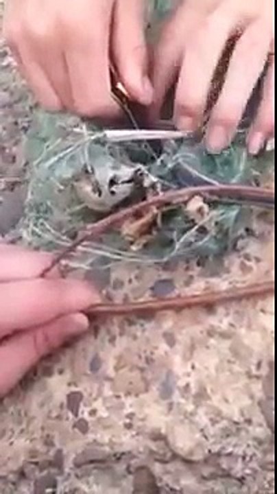 Trapped Snake Thanks It's Rescuers With A Surprise!