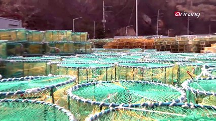 Crackdown on Illegal Fishing in the West Sea 대한민국 '서해', 끝나지 않는 중국불법어선과의 전쟁