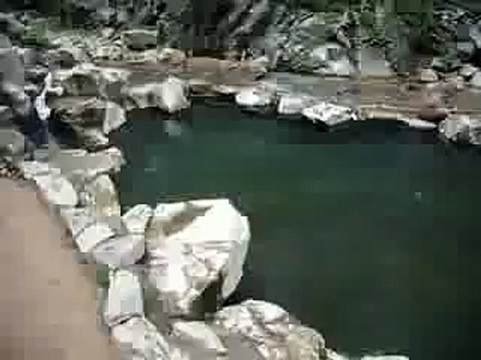 Monkey Onsen