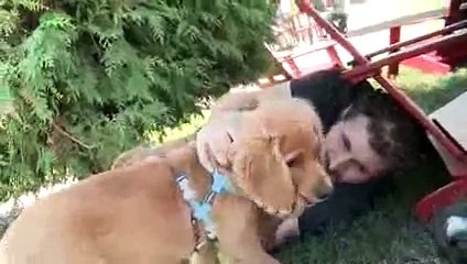 Giant Men Meet Tiny Puppies