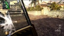 Black Ops 2 GOLD Assault Shield Camo Gameplay Online - How to get Gold Assault Shield