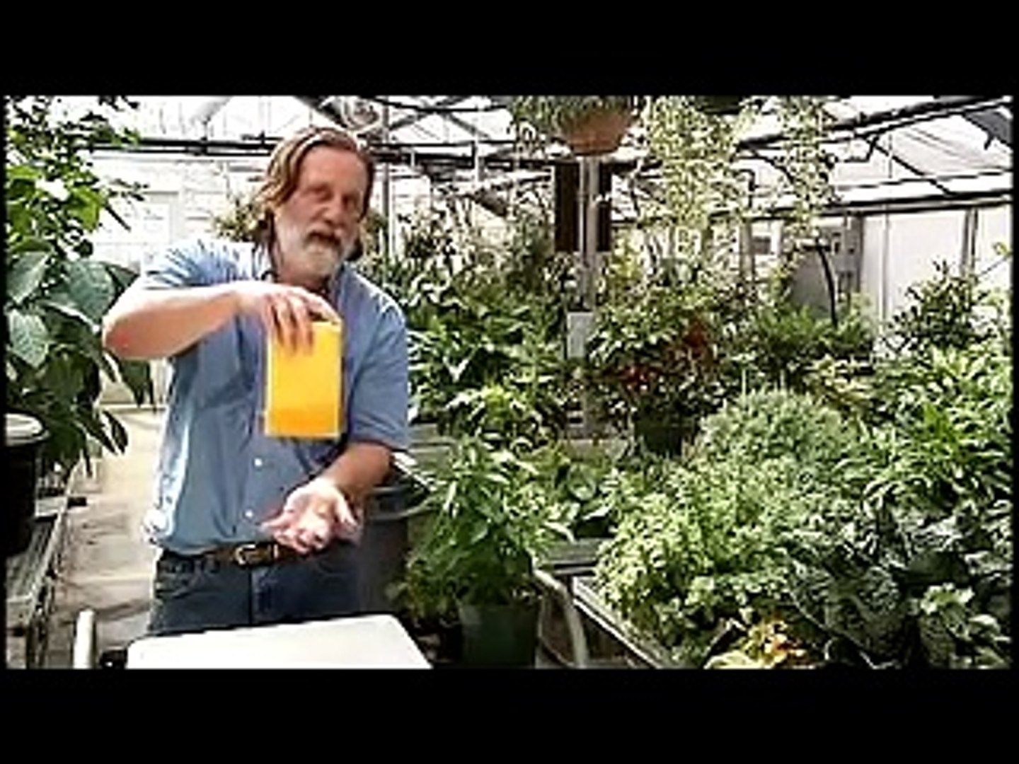 Container Gardens-Three Minute Gardener