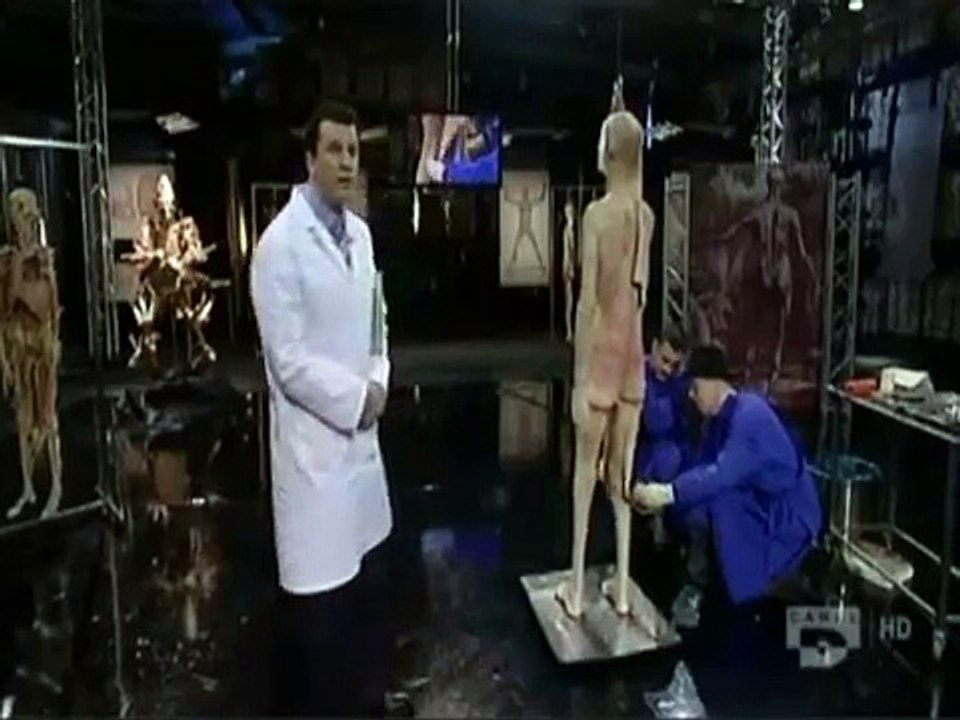 leçon d'anatomie le mouvement 1/5.wmv