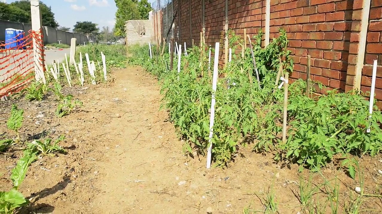 Acts of Kindness in South Africa