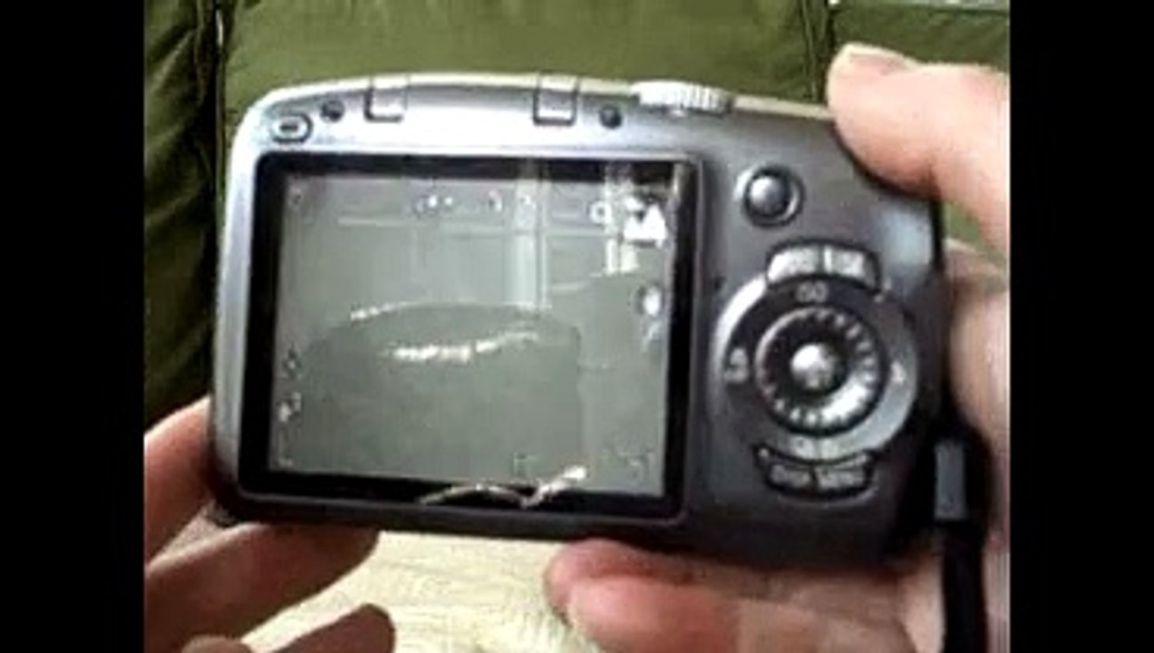 Canon Powershot SX110IS 9MP Digital Camera Review!