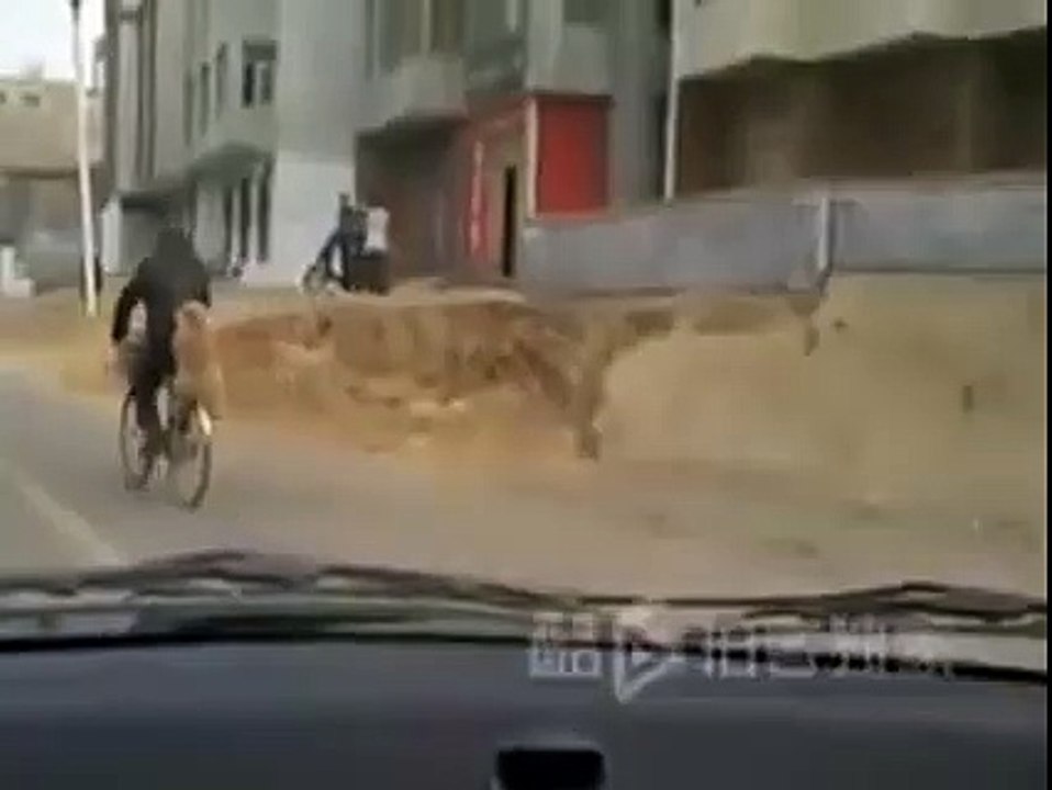 Americans Do THis Always
